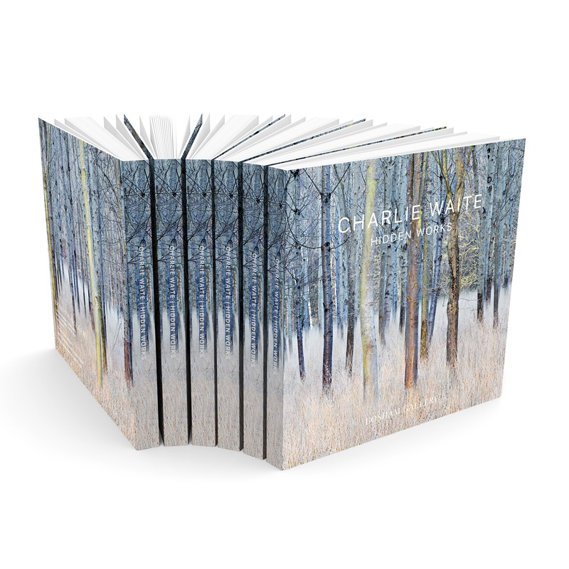 Marketing Plans For Pro Photographers, 4 HOURS ONE-TO-ONE WITH LUKE WHITAKER