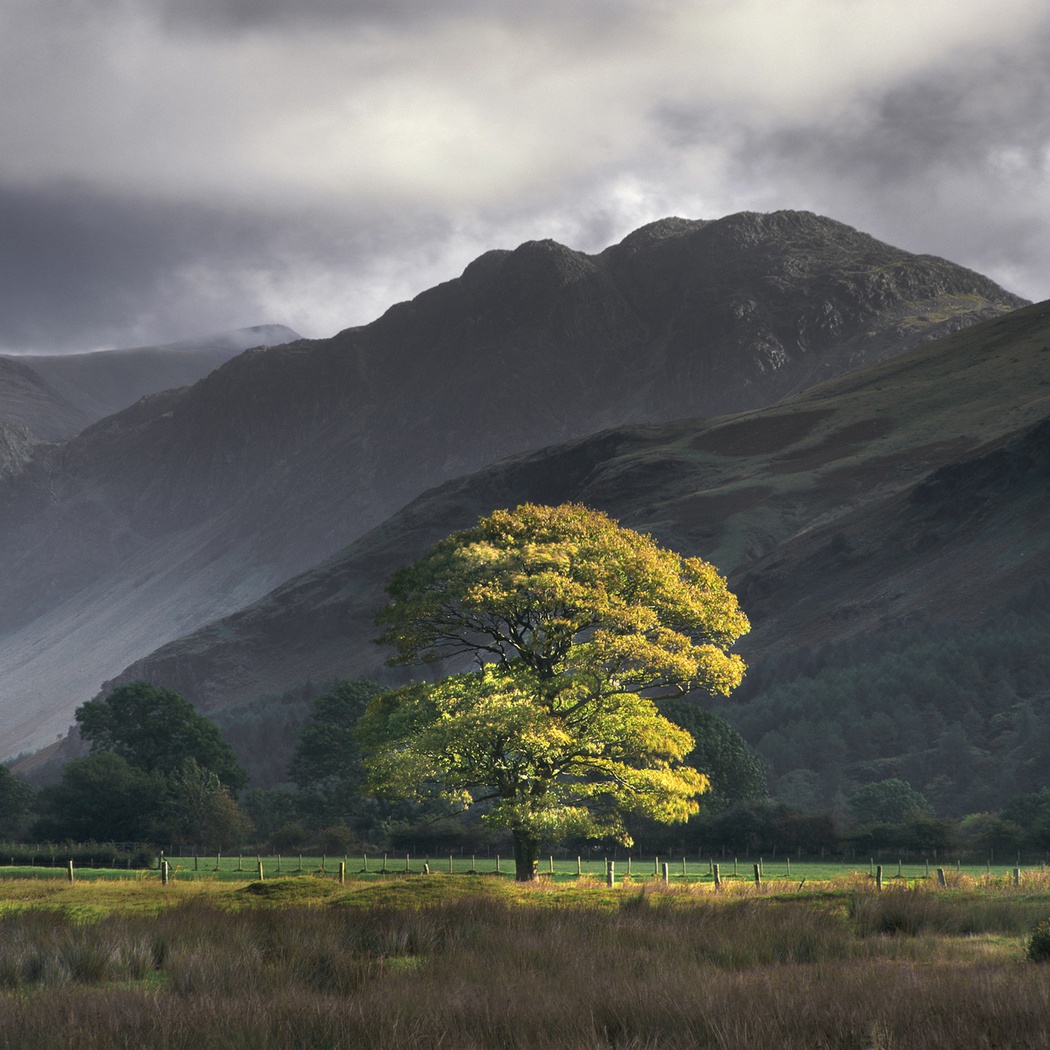 buttermere-study-2-cumbria-england-2012-by-charlie-waite-limited-edition-pigment-print-for-sale-at-bosham-gallery