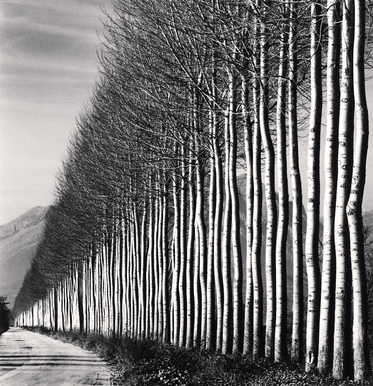 Michael Kenna - Works | Bosham Gallery