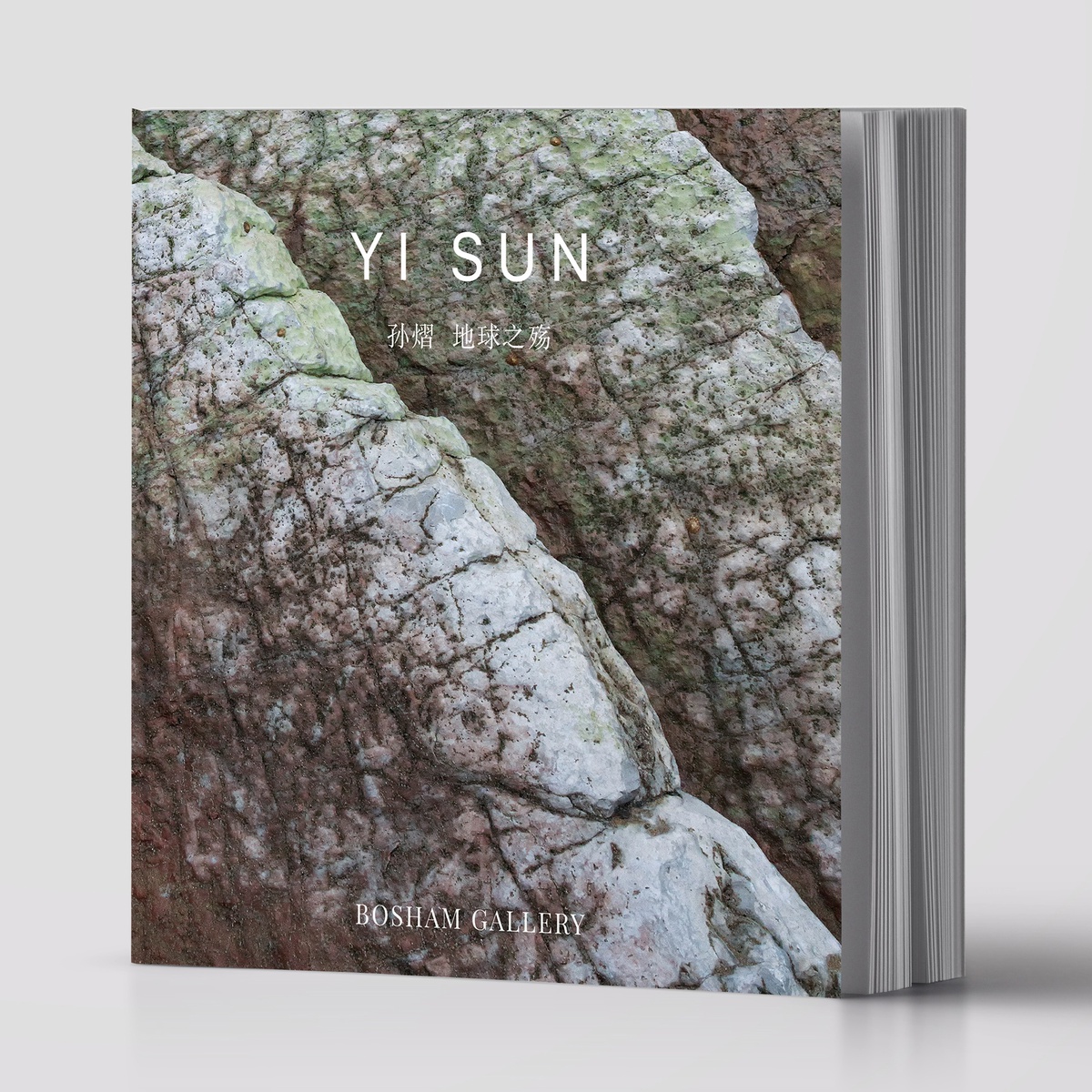 Yi Sun Catalogue