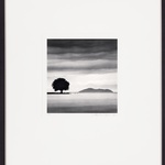 Michael Kenna, Kussharo Lake Tree Study 10, Kotan, Hokkaido, Japan, 2005