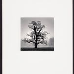 Michael Kenna, Big Ben & Westminster Abbey, London, England, 1975