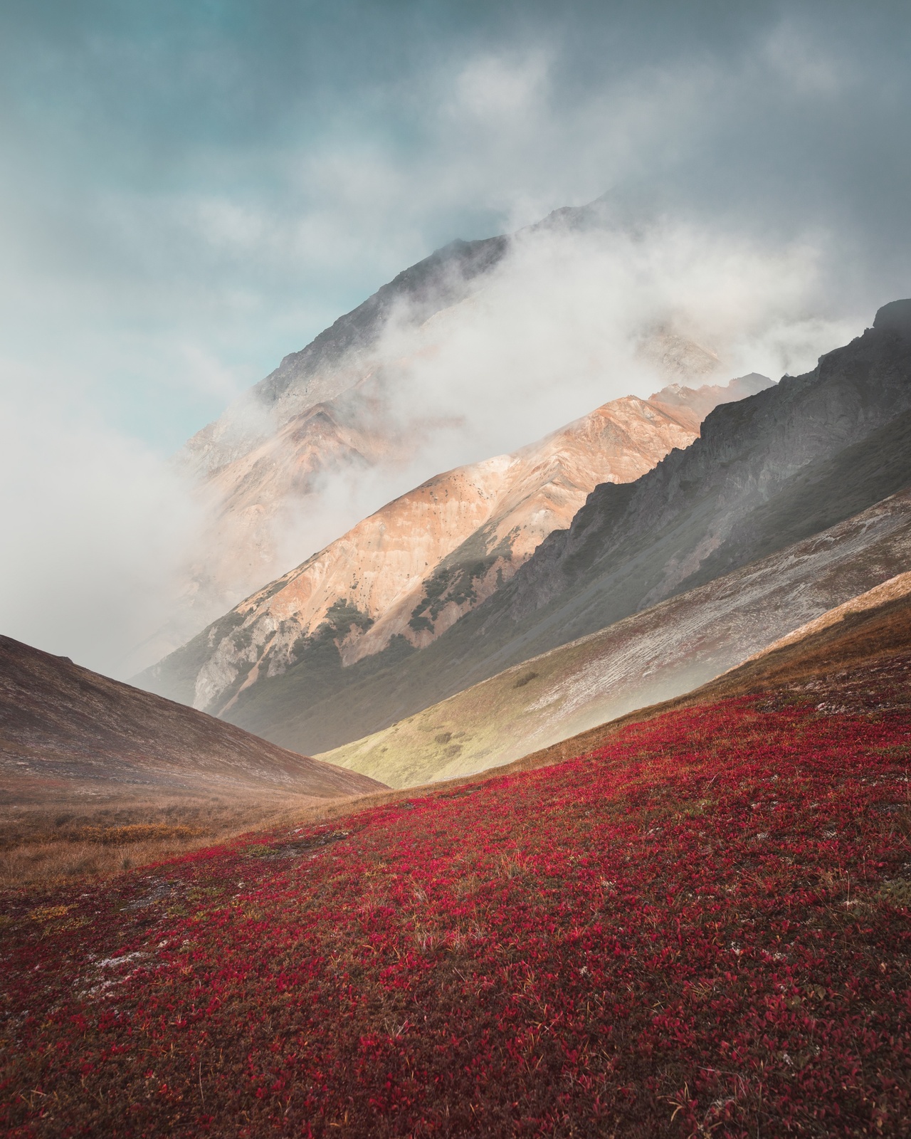 Benjamin Everett, Alpine Tundra, Talkeetna Mountains, 2017