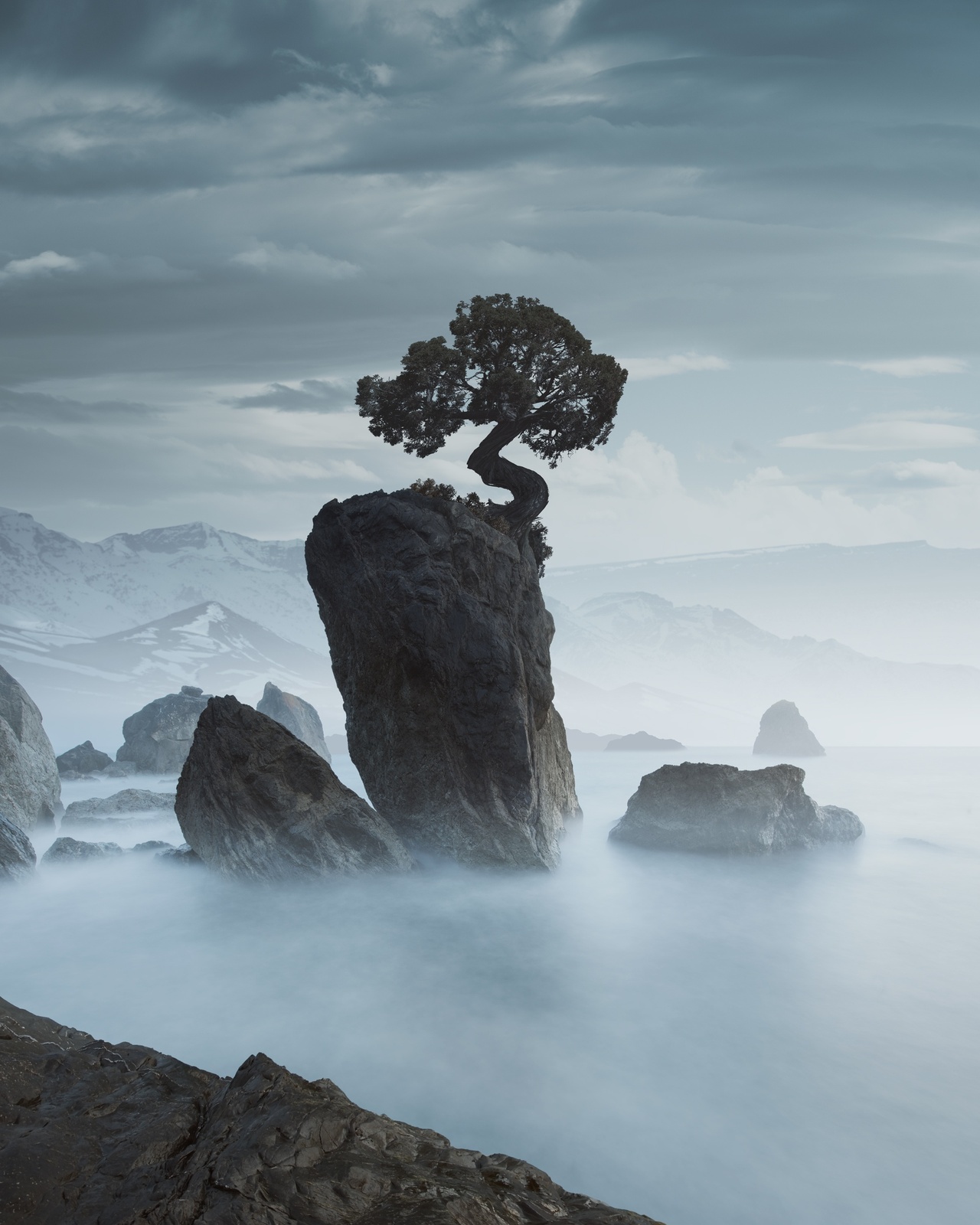 Benjamin Everett, Island Tree, American West, 2017