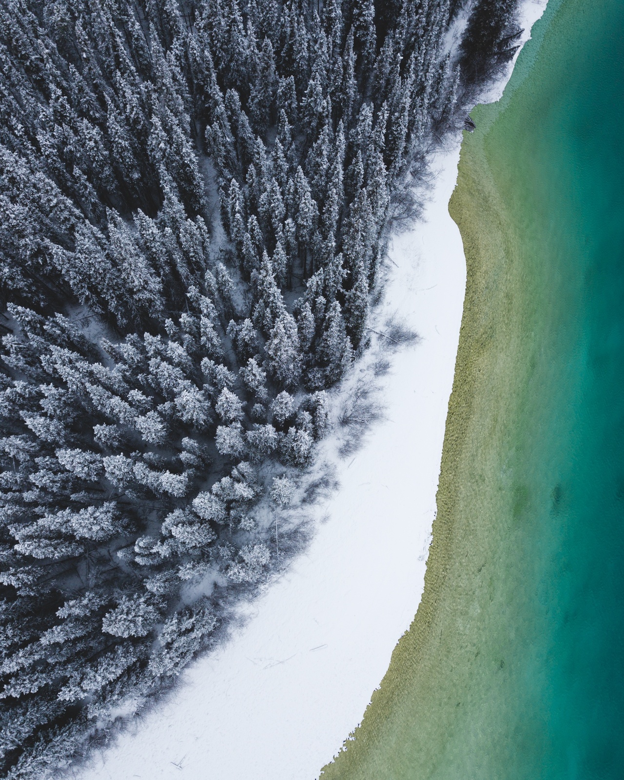 Benjamin Everett, White Beach One, Yukon, 2017