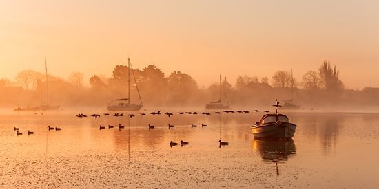 Luke Whitaker, The Great Migration
