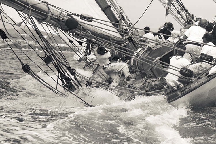 Ben Wood, Lee Deck, Cannes