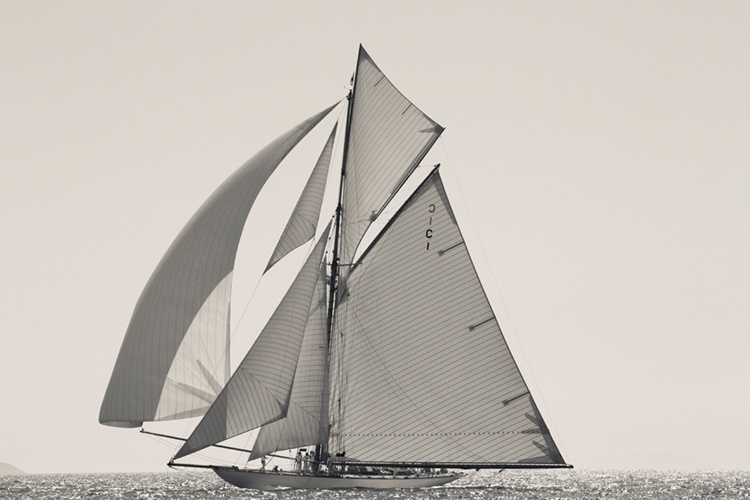 Ben Wood, Mariquita, Argentario, Italy