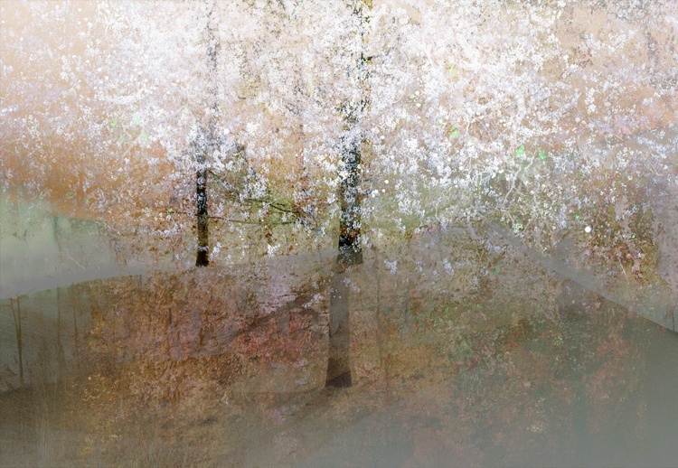 Valda Bailey, Blossom Blizzard Study 2, 2017