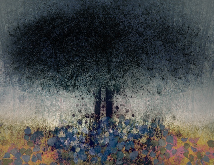 Valda Bailey, Seasons Collide Study 1, 2016