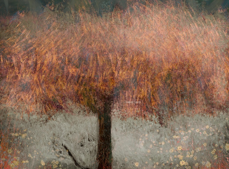 Valda Bailey, Seasons Collide Study 2, 2016