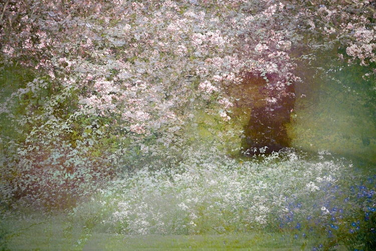 Valda Bailey, Confetti Study 2, 2017