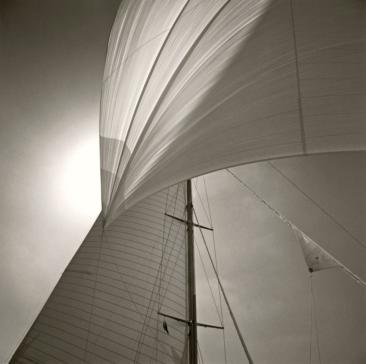 Michael Kahn, Spinnaker Detail Of Cambria, Isle of Wight