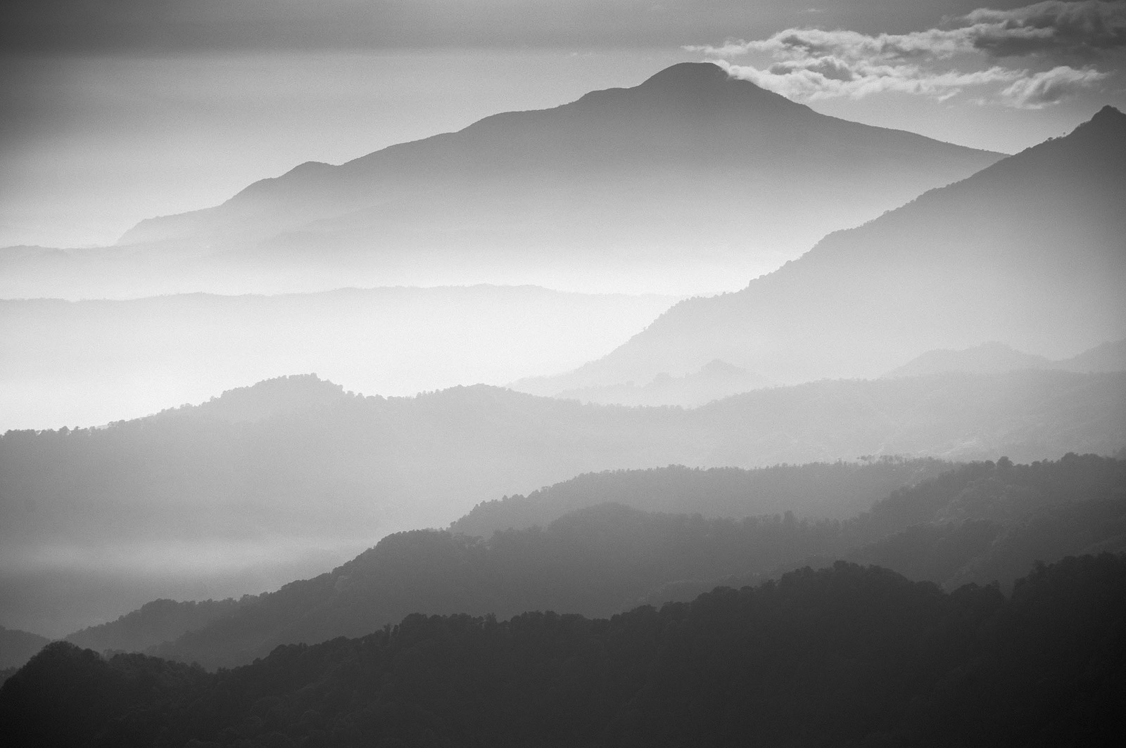 Hengki Koentjoro, Layers