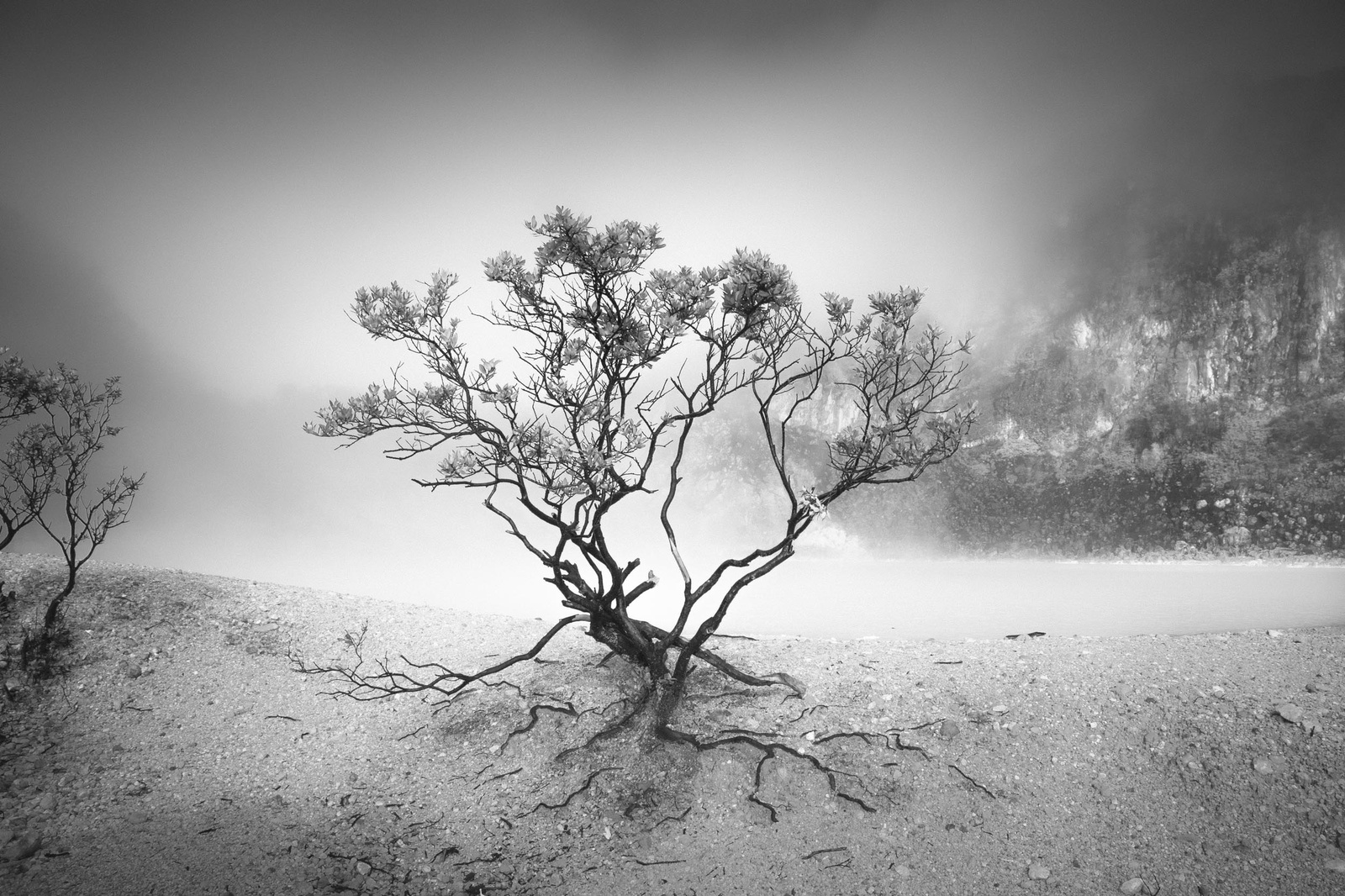 Hengki Koentjoro, Caldera