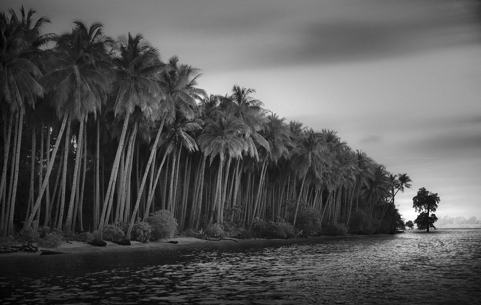 Hengki Koentjoro, Coco Island