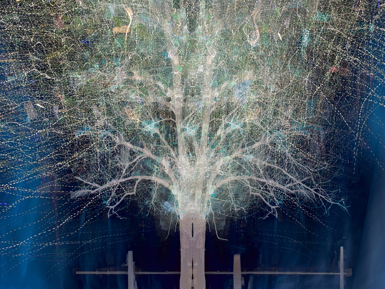 Valda Bailey, Blue Moon Rising, 2019