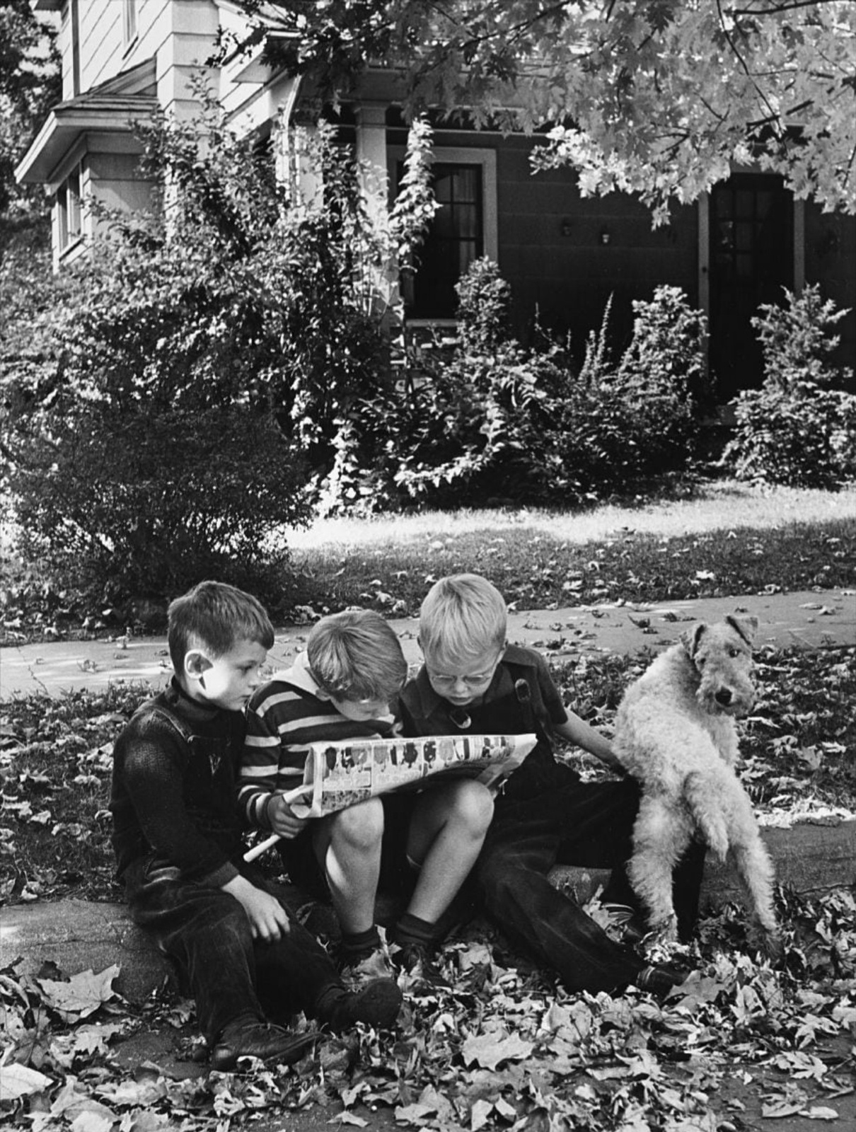 Alfred Eisenstaedt, An American Block, Hamilton, Ohio, 1943