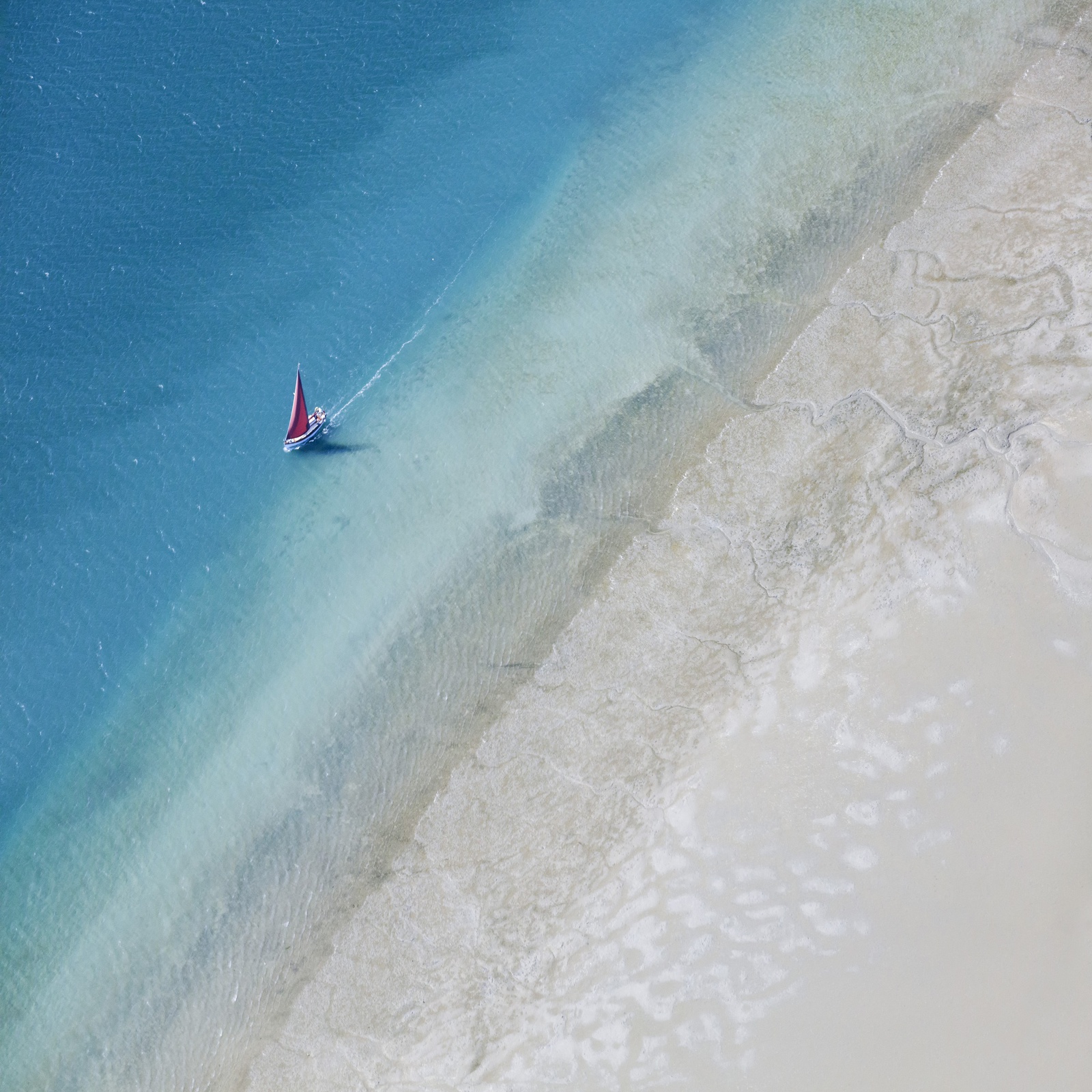 Yi Sun, East Head, Study 2, Sussex, England, 2020