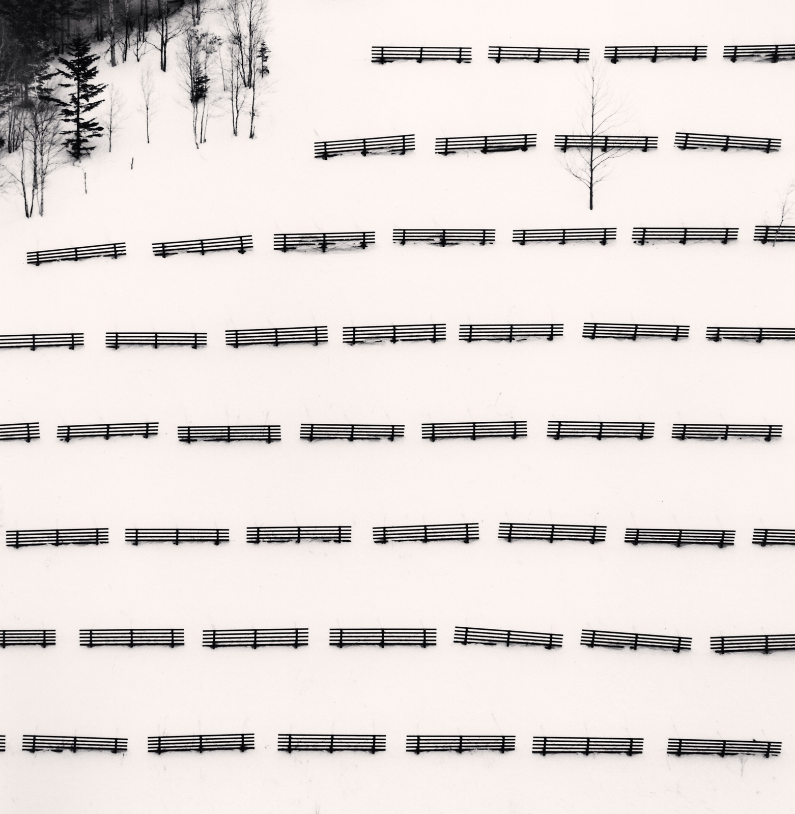 Michael Kenna, Fifty Fences, Taisetsu, Hokkaido, Japan, 2004