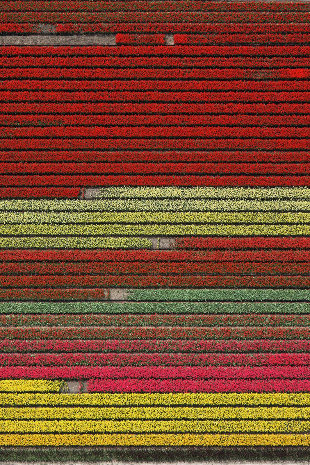 Tommy Clarke, Divisions, Netherlands, 2018