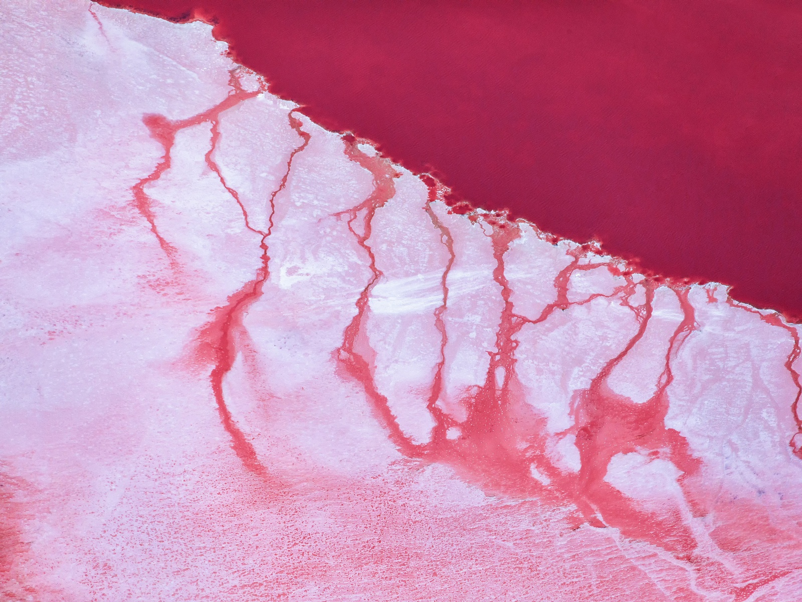 Yi Sun, Pink Lake, Study 1, Kalbarri, Western Australia, 2017