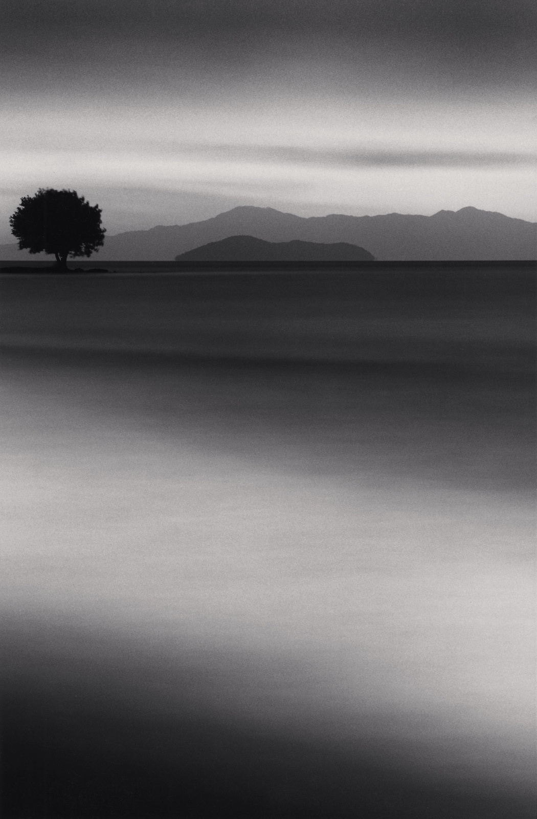Michael Kenna, Biwa Lake Tree, Study 1, Omi, Honshu, Japan, 2001