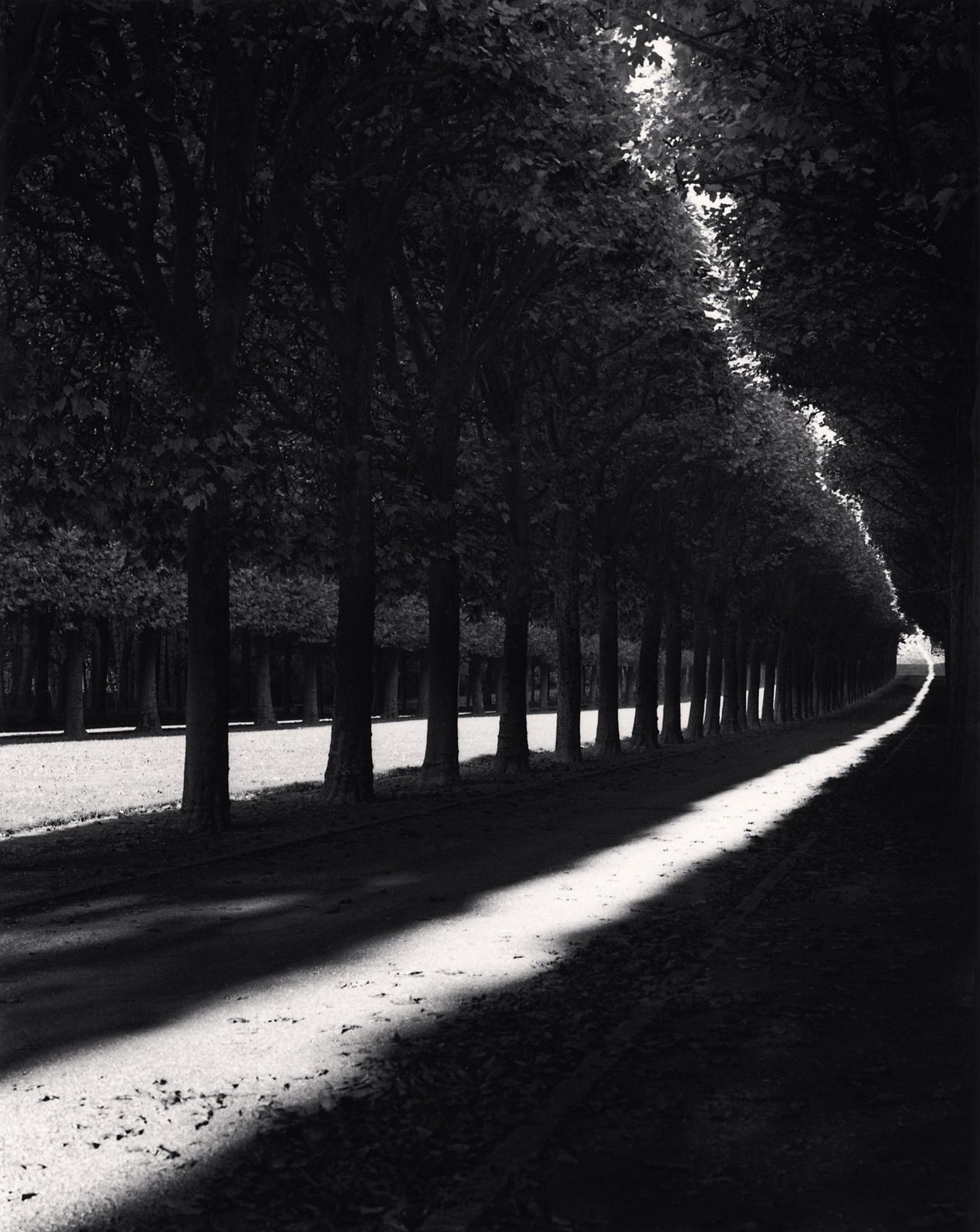 Michael Kenna, Pathway, Sceaux, France, 1998