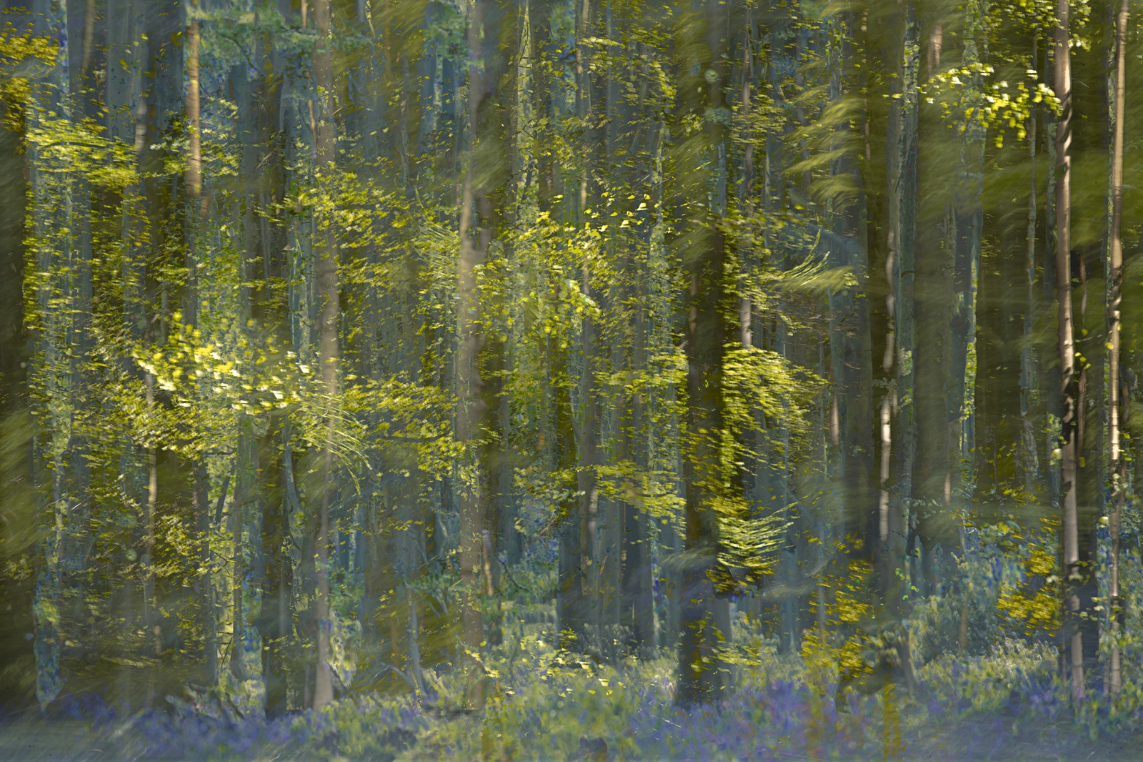 Valda Bailey, Rhythm & Dance, 2017