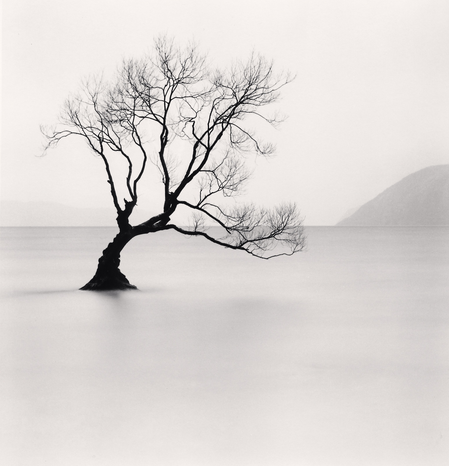 Michael Kenna, Wanaka Lake Tree I, Otago, New Zealand, 2013