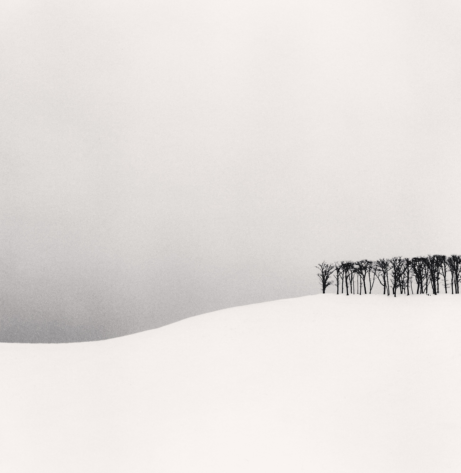 Michael Kenna, Hilltop Trees, Study 1, Teshikaga, Hokkaido, Japan, 2003