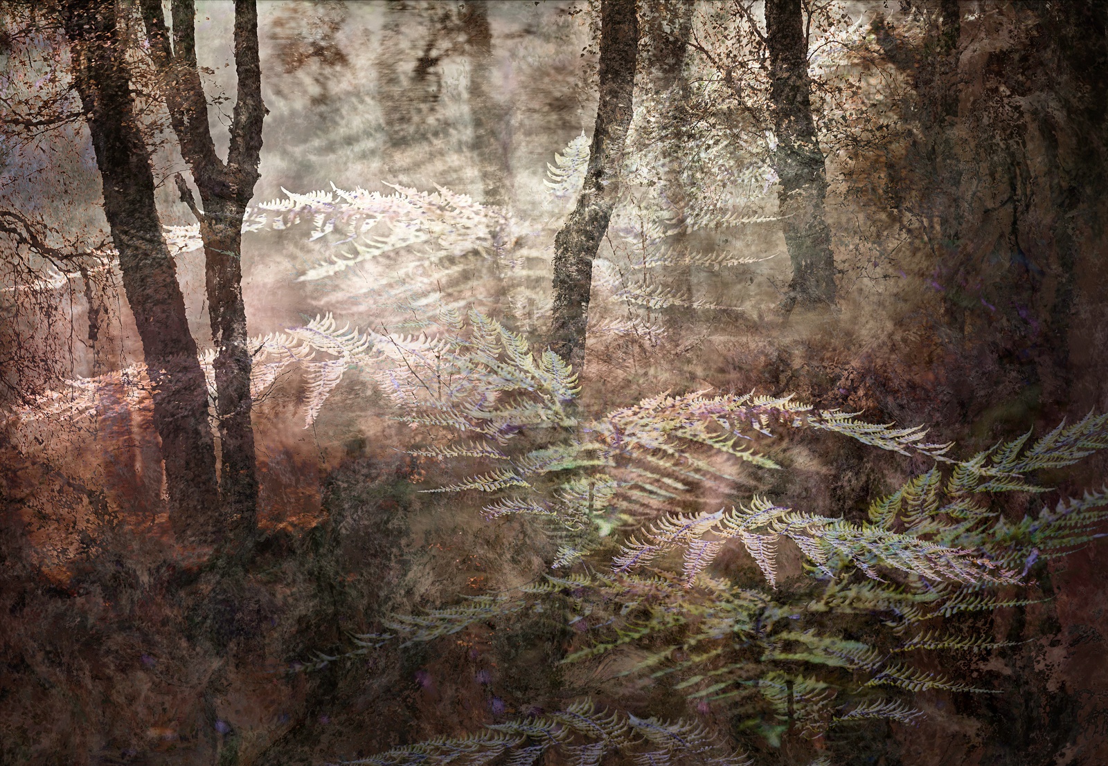 Valda Bailey, The Edge Of Autumn, Study 1, 2017