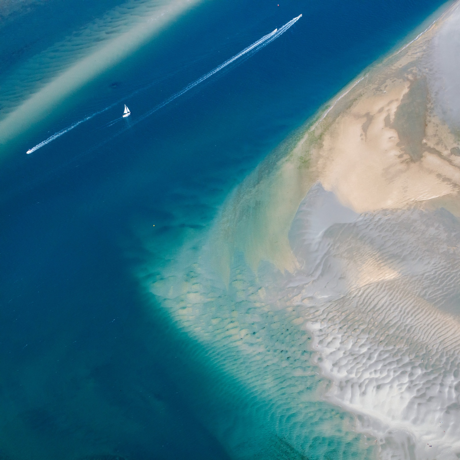 Yi Sun, East Head, Study 1, Sussex, England, 2020