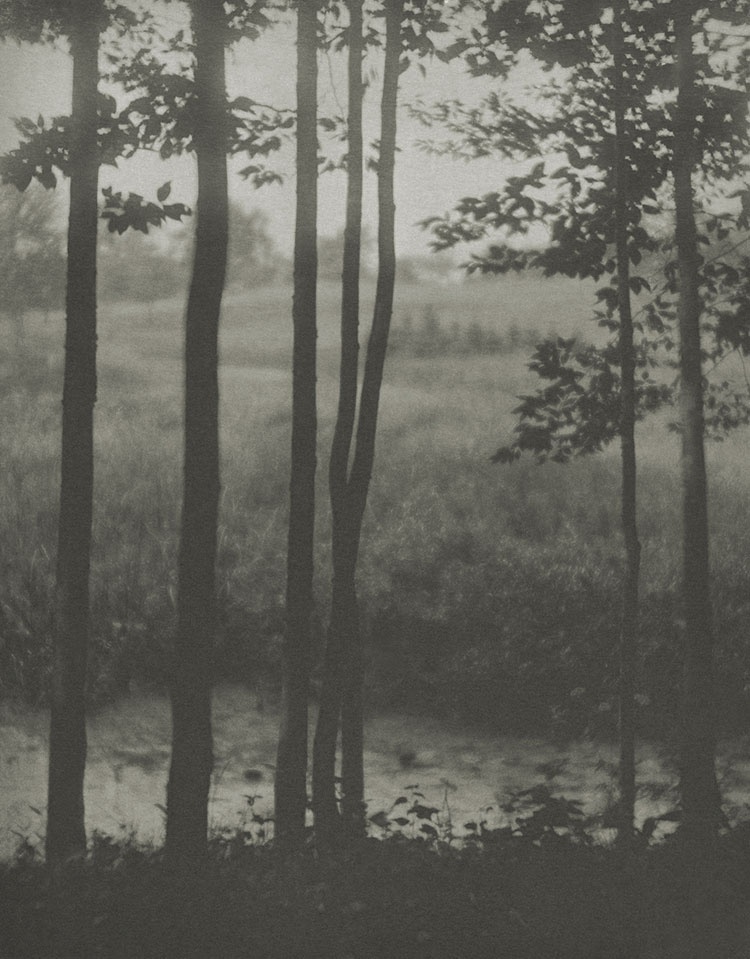 Alvin Langdon Coburn, Landscape, 1902