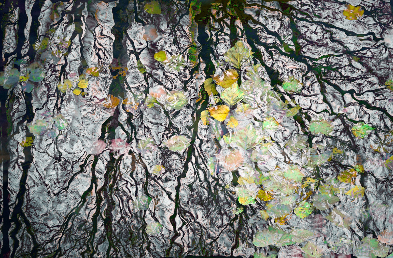 Valda Bailey, What Lies Beneath, Study 2, 2016