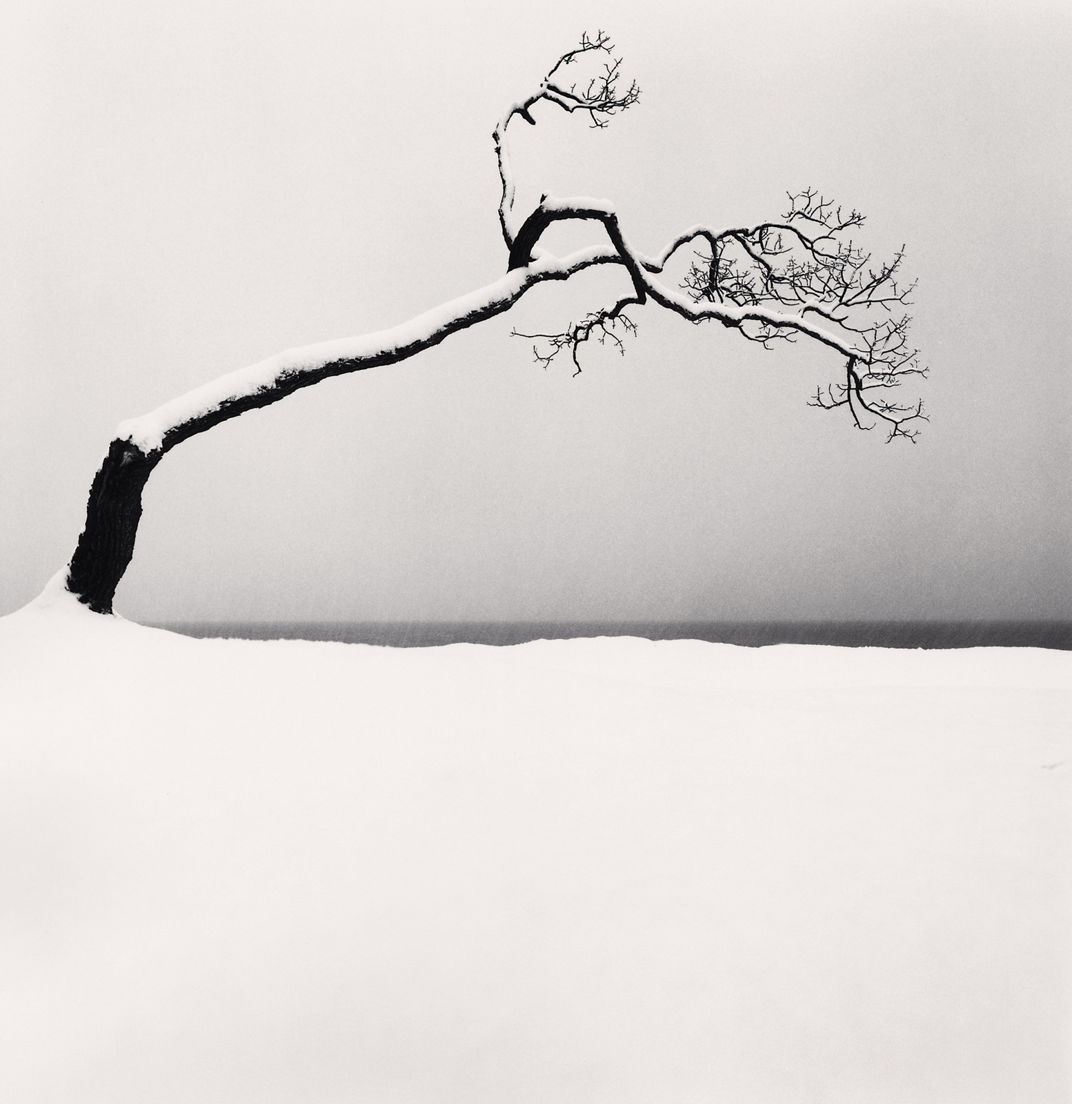 Michael Kenna, Kussharo Lake Tree, Study 2, Kotan, Hokkaido, Japan, 2005
