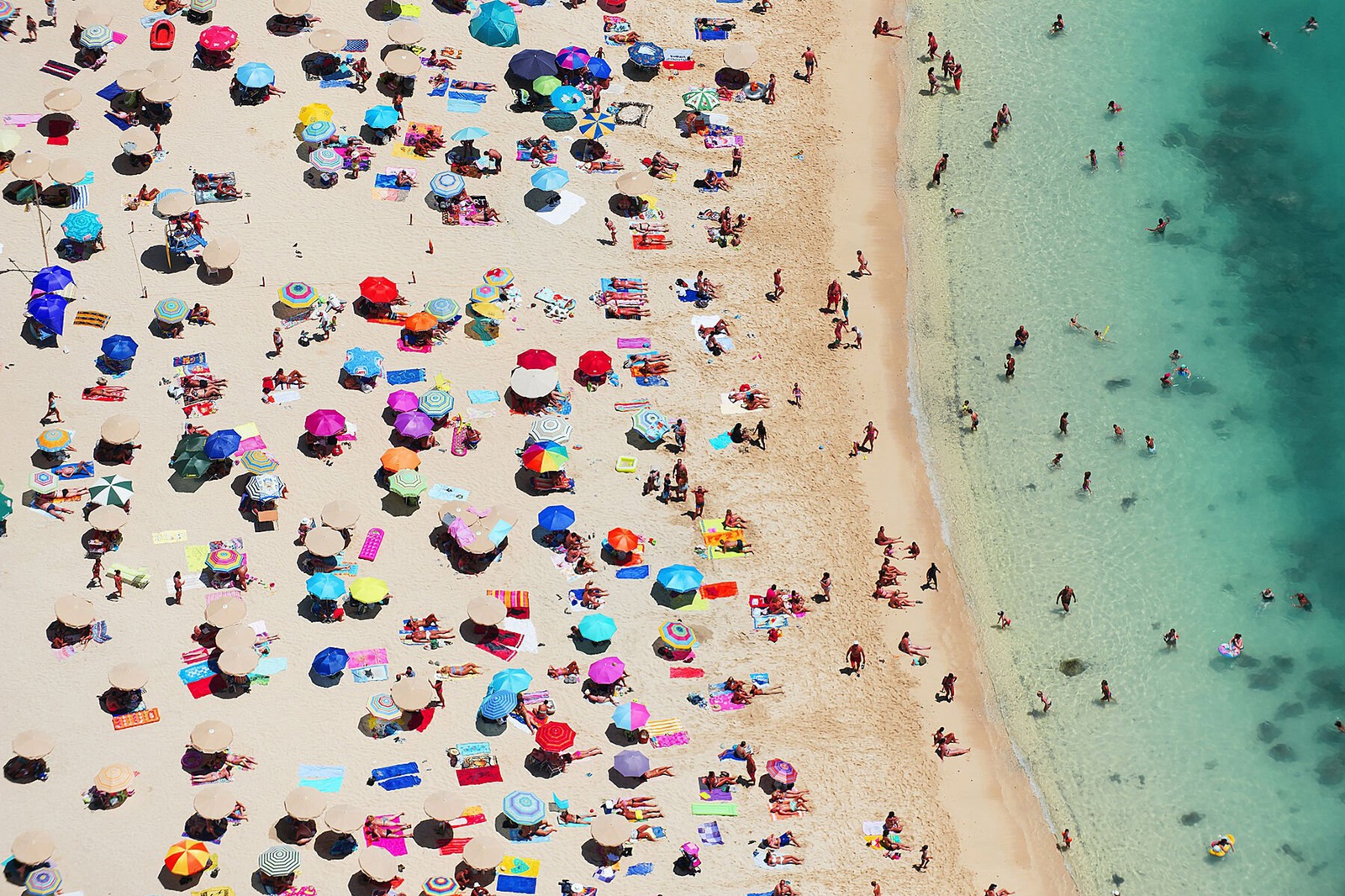 Tommy Clarke, North Amadores