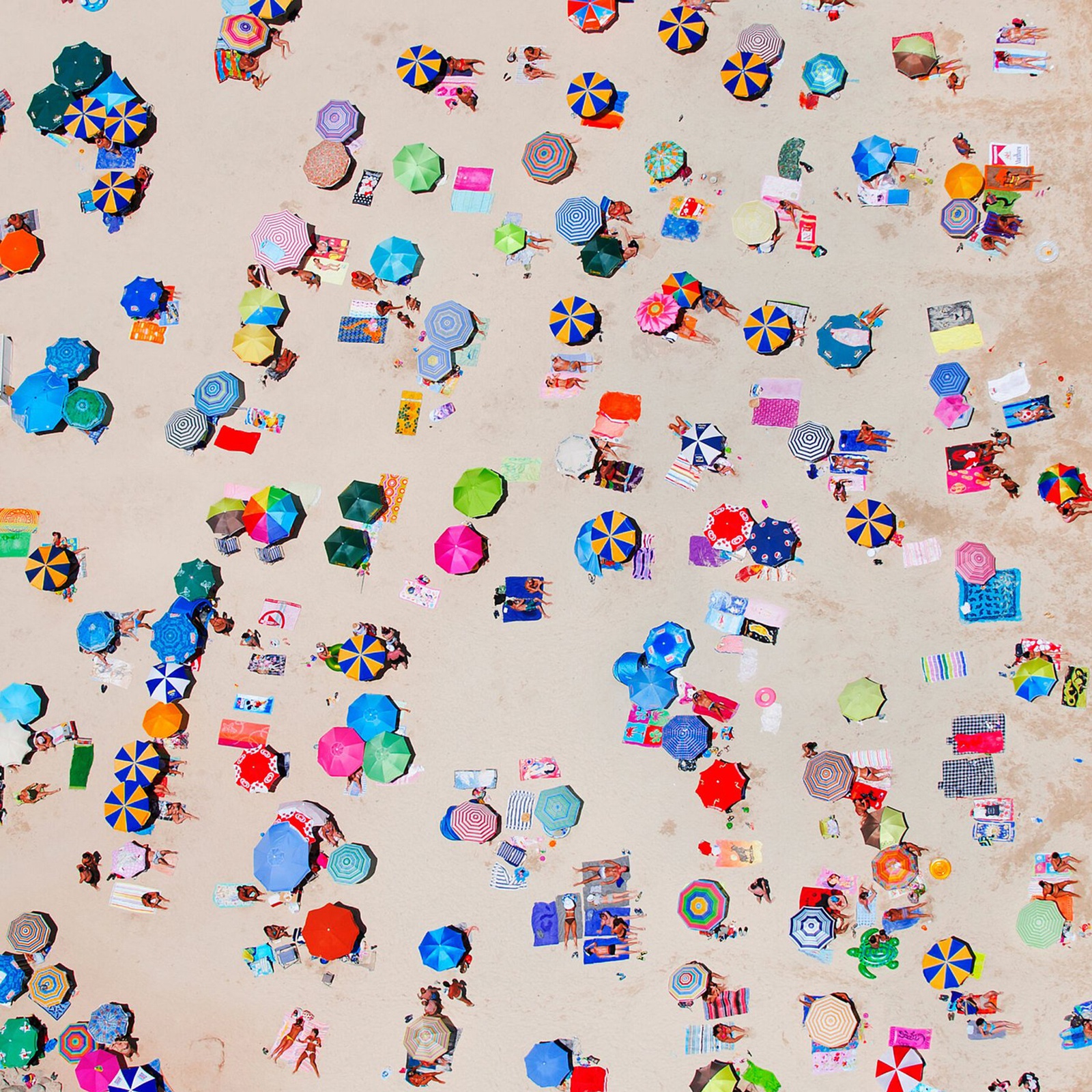 Tommy Clarke, Amadores Beach