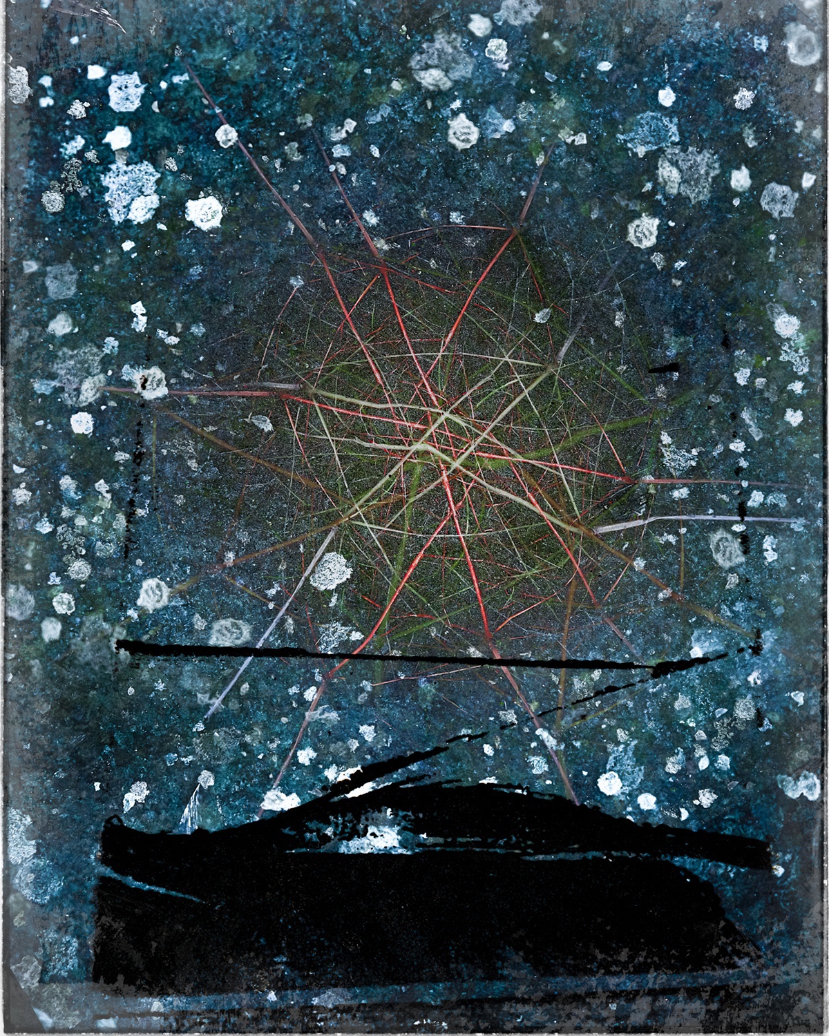Valda Bailey, Isolation, 2020