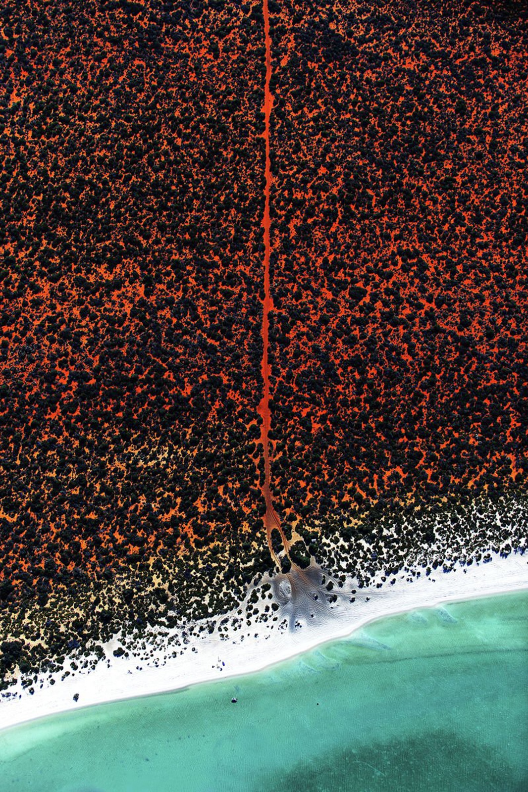 Tommy Clarke, Fisherman's Road, Shark Bay, Australia, 2016