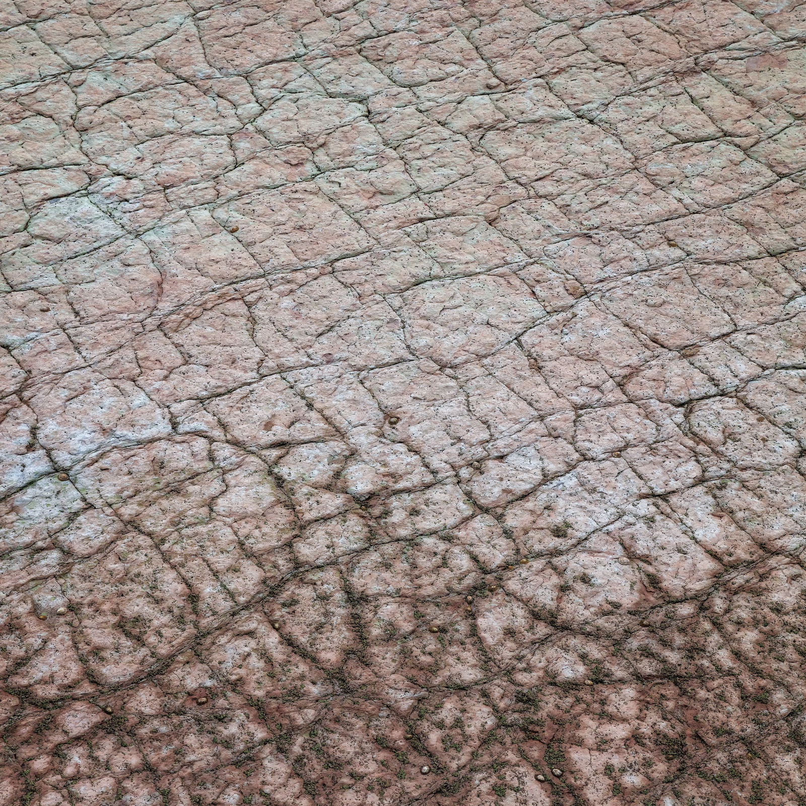 Yi Sun, Rock Patterns Study 8, Zumaia, Spain, 2018