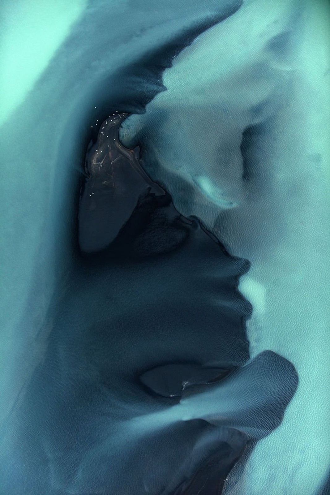 Tommy Clarke, Blue Swans, Iceland, 2017