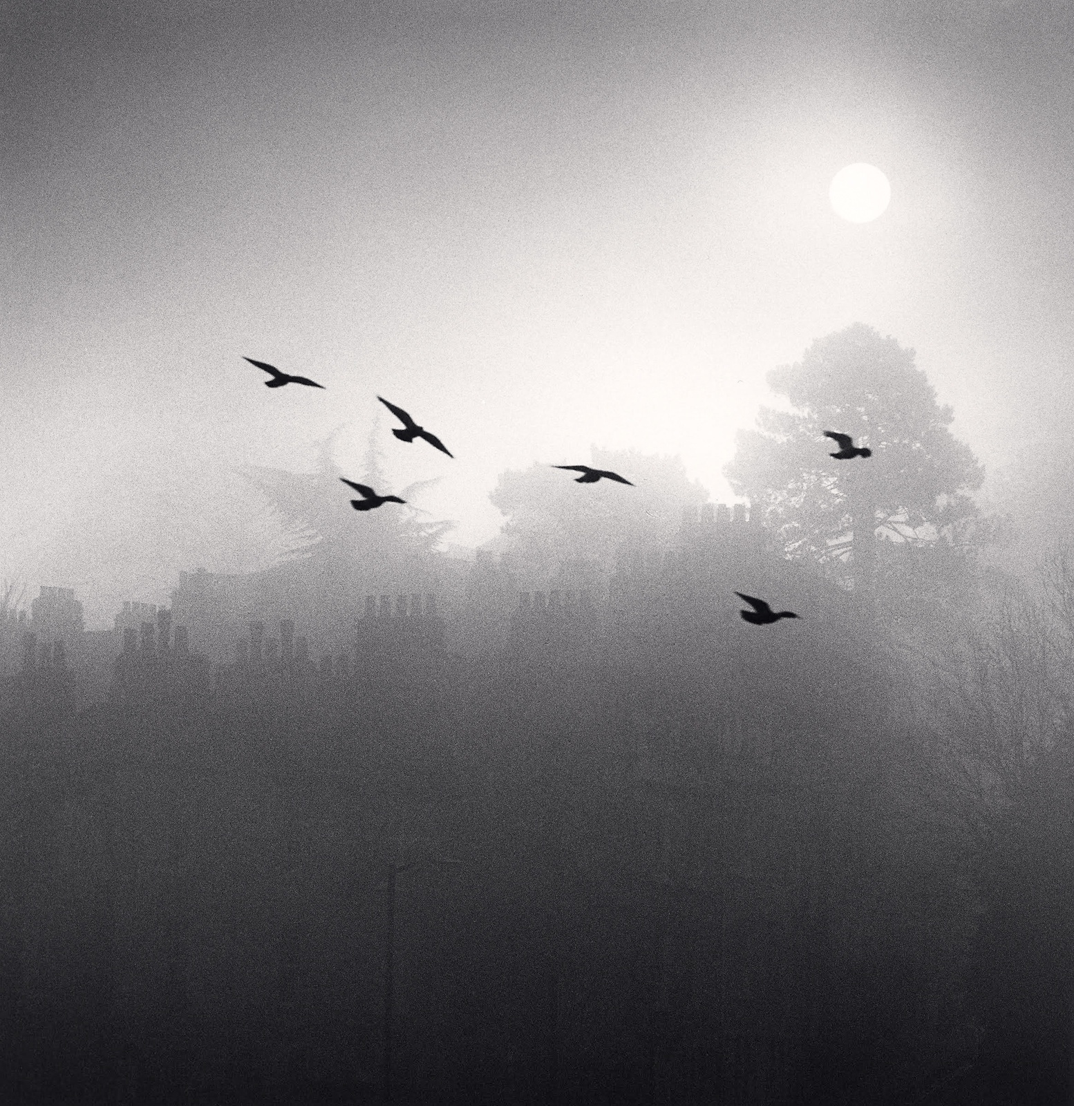 Michael Kenna, Six Flying Birds, Bath, Avon, 1987