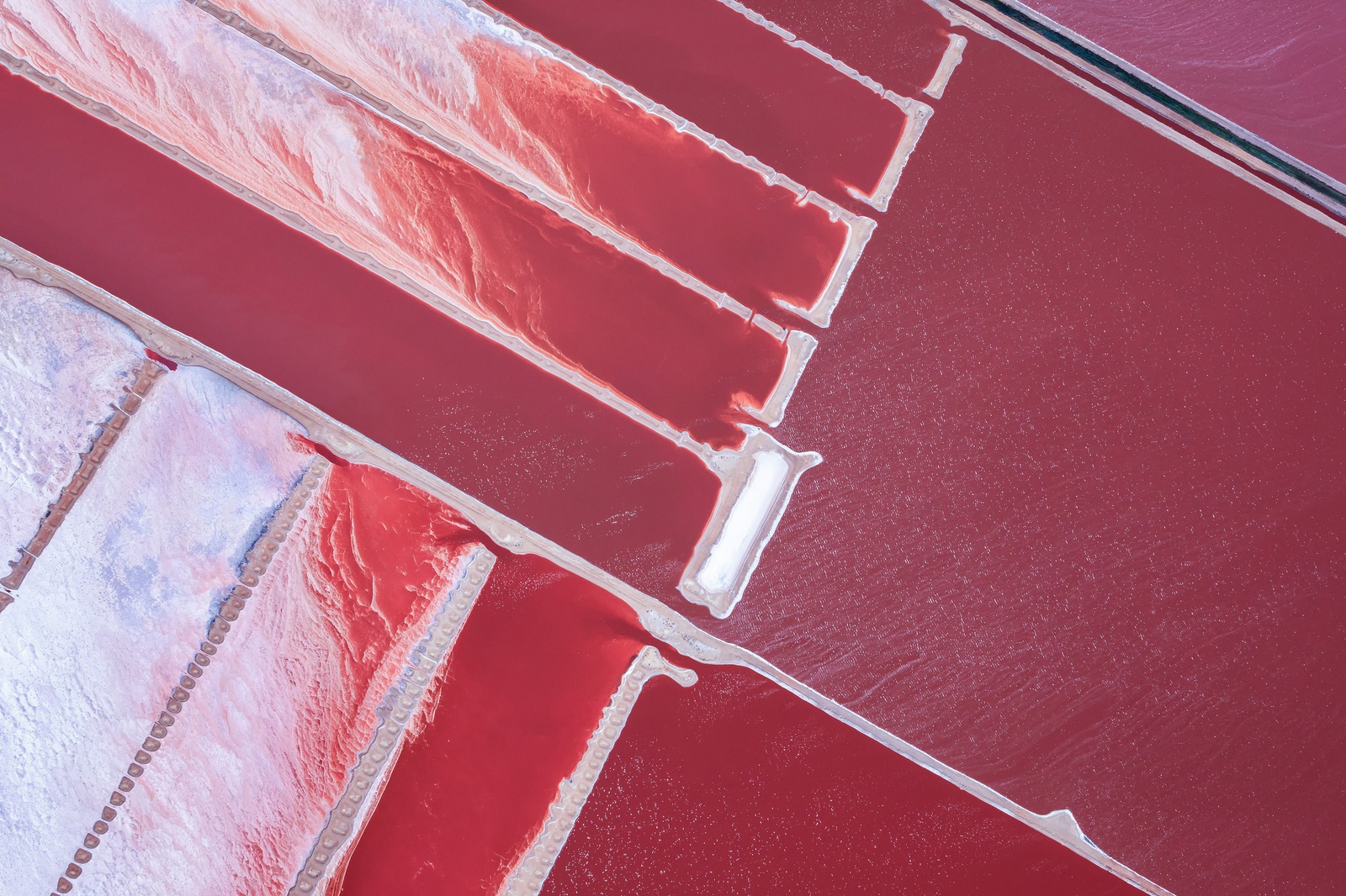 Yi Sun, Pink Lake Study 3, Kalbarri, Western Australia, 2017