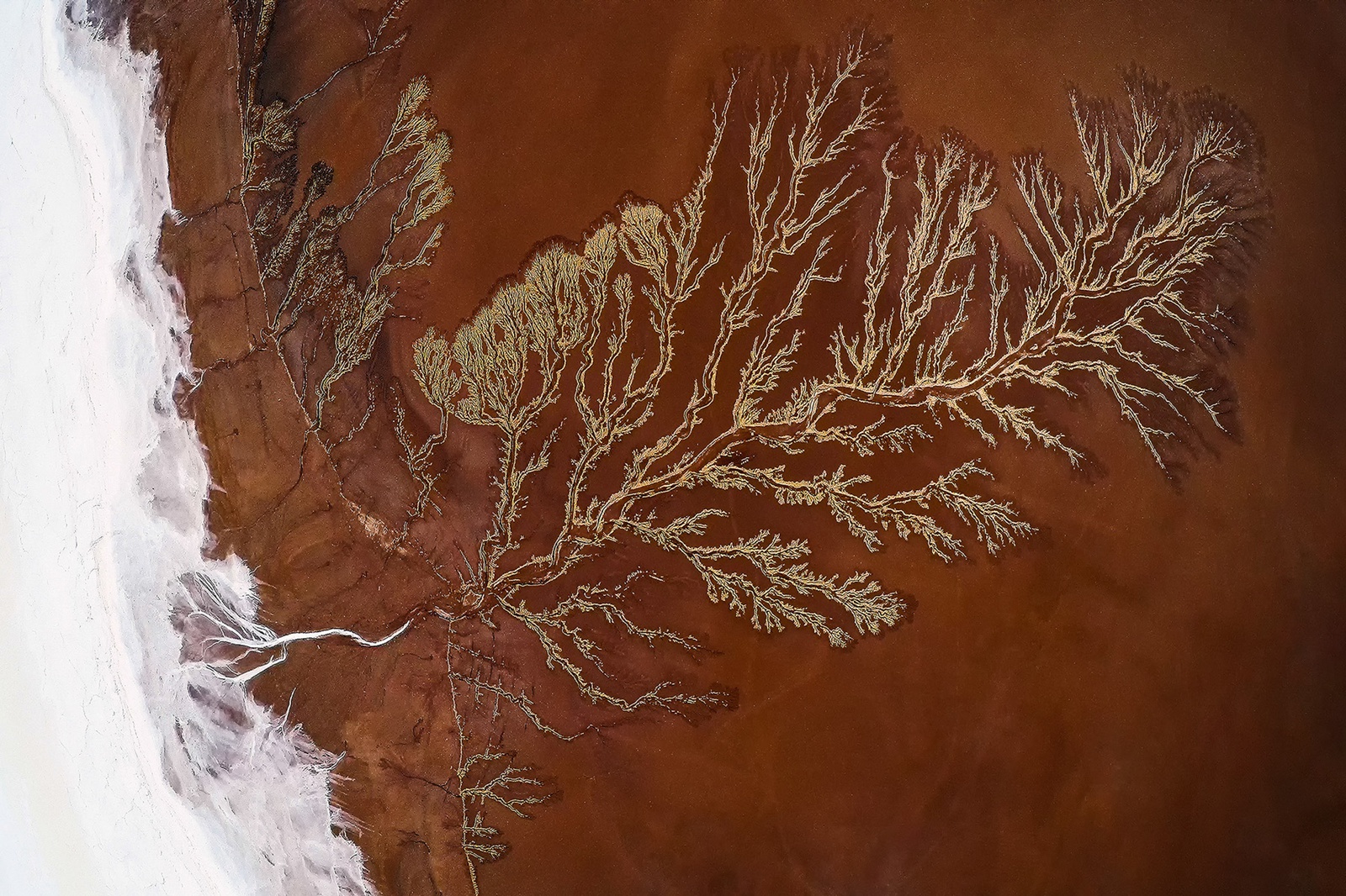 Yi Sun, California Drought Study 1, USA, 2016