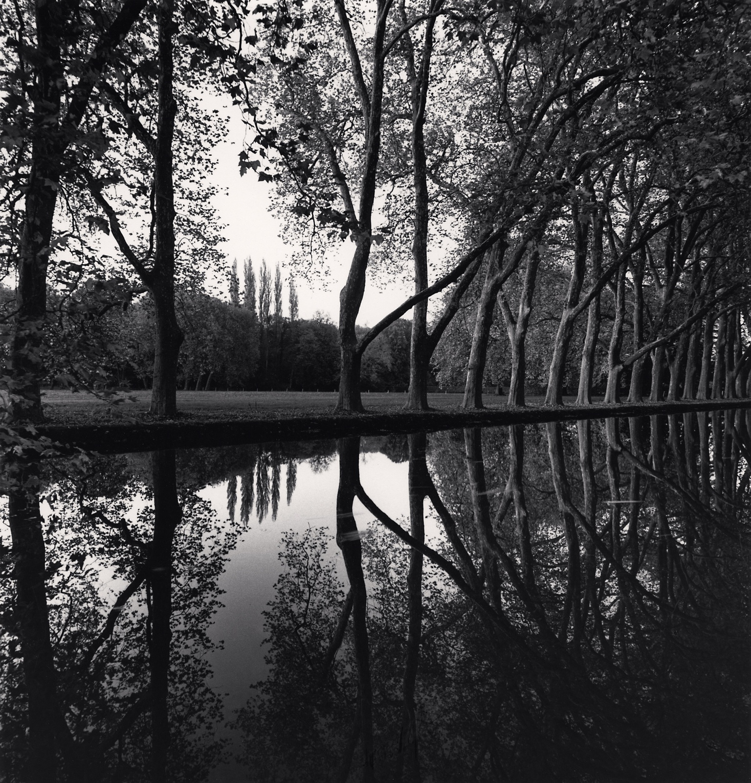Michael Kenna, Allée d'Honneur, Courances, France, 1995