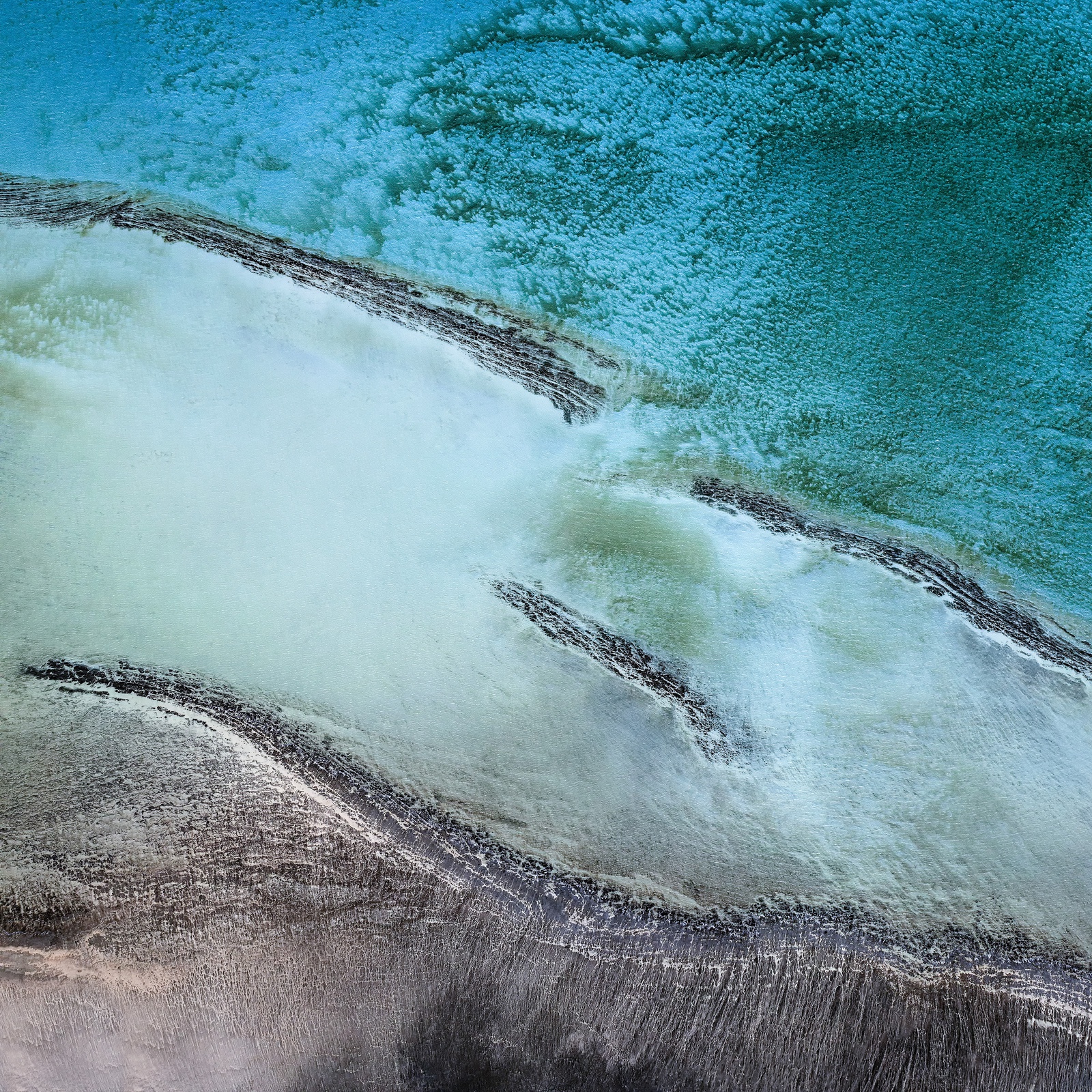 Yi Sun, Shark Bay Study 2, Western Australia, 2017