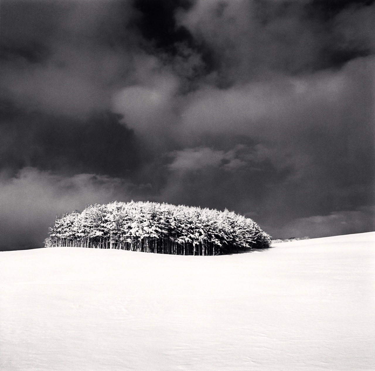 Michael Kenna, White Copse Study 3, Wakkanai, Hokkaido, Japan, 2004