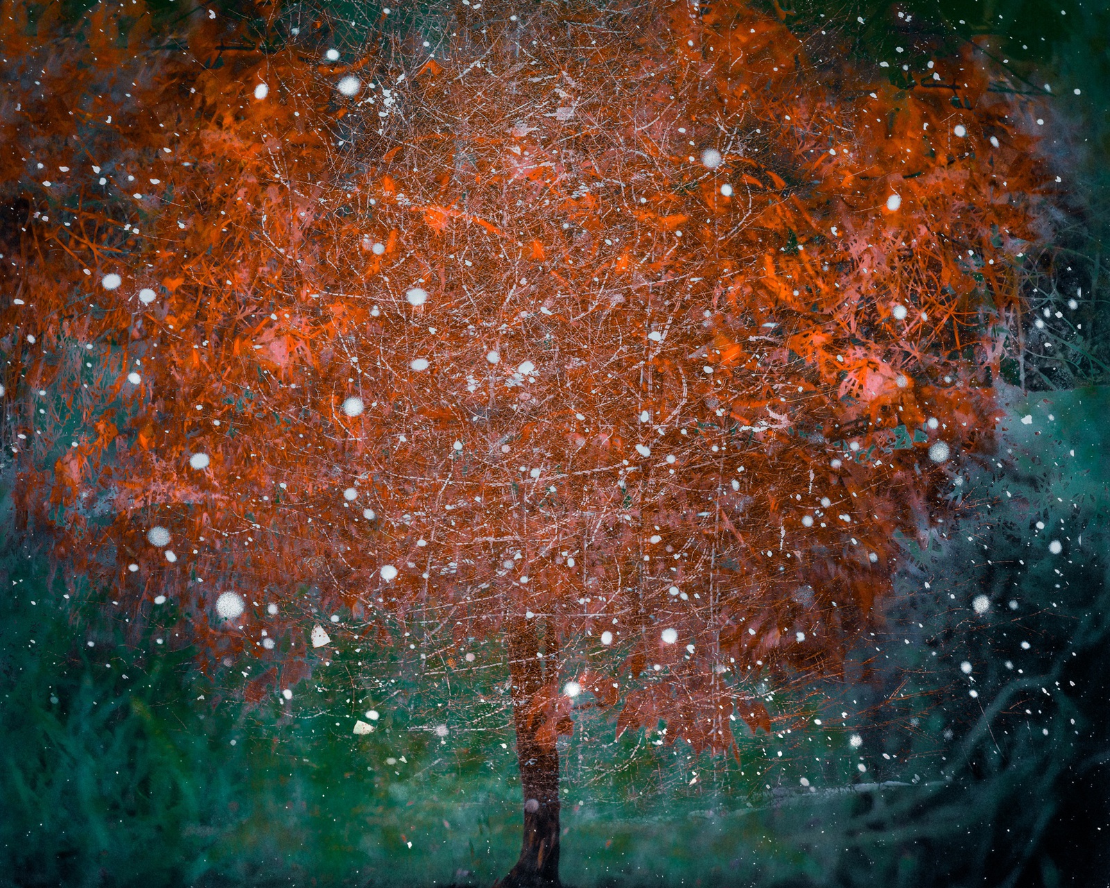 Valda Bailey, Seasons Collide, Study 3, 2020