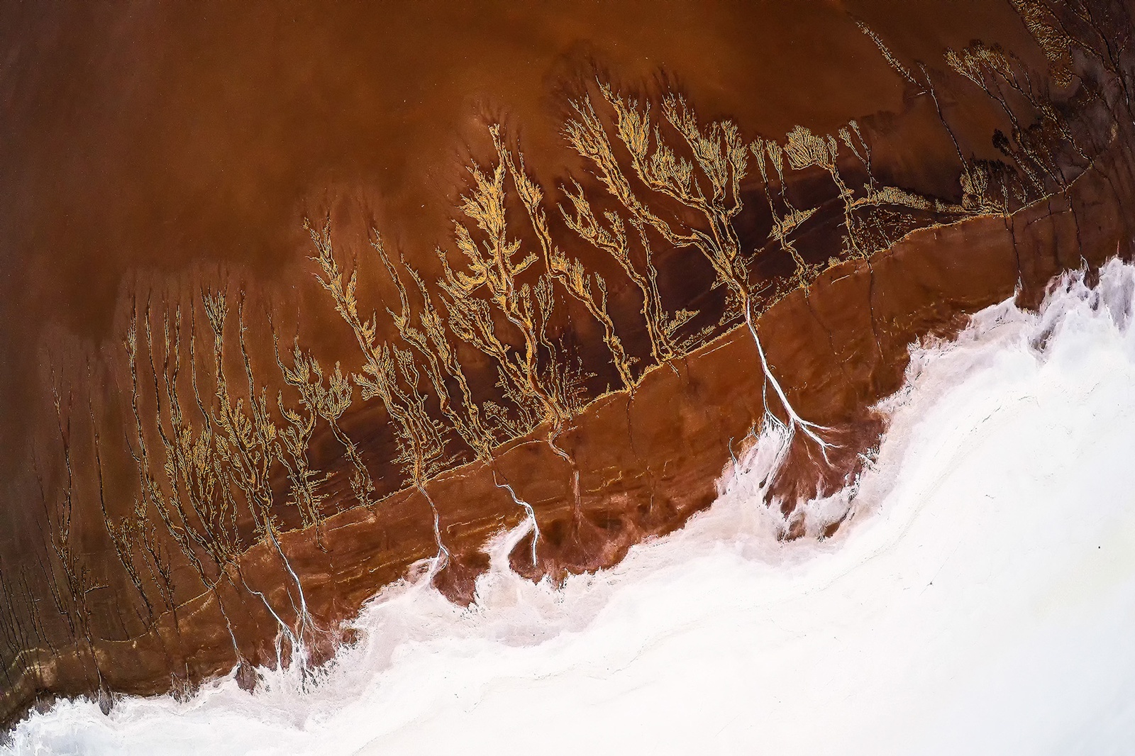 Yi Sun, California Drought Study 2, USA, 2016